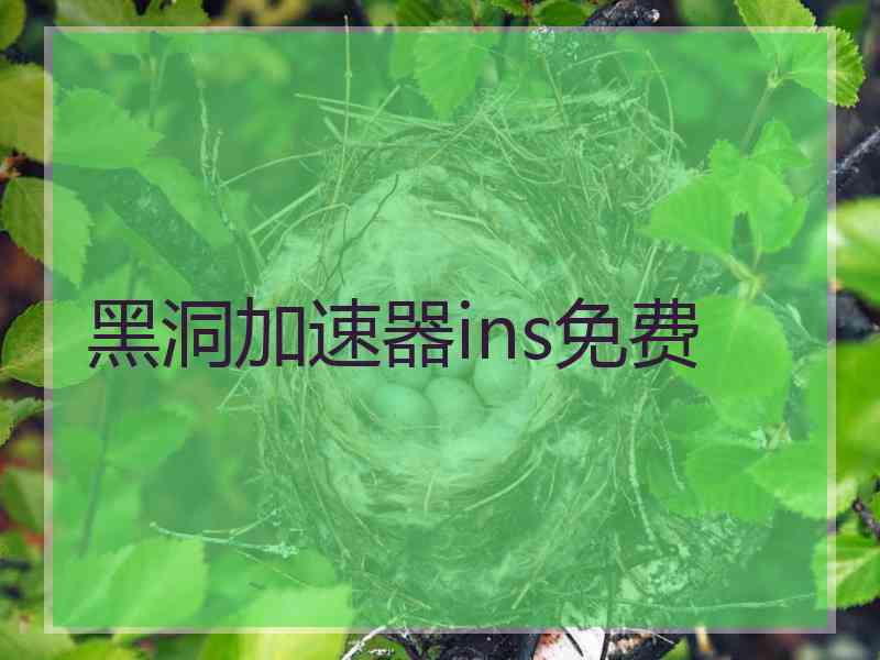 黑洞加速器ins免费