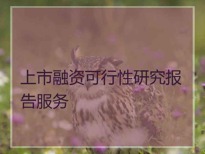 上市融资可行性研究报告服务