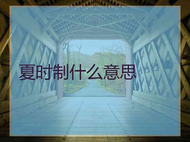 夏时制什么意思