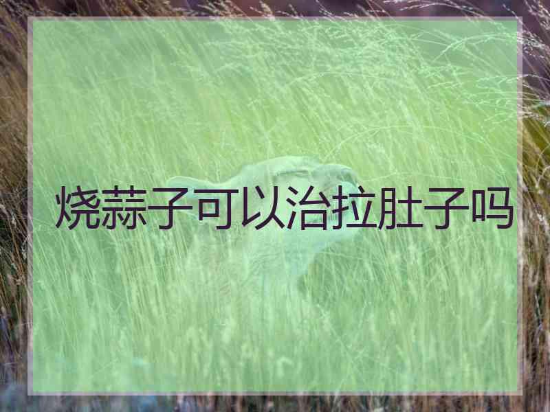 烧蒜子可以治拉肚子吗