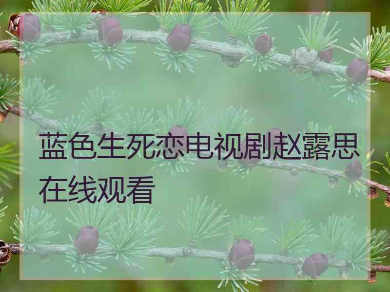 蓝色生死恋电视剧赵露思在线观看