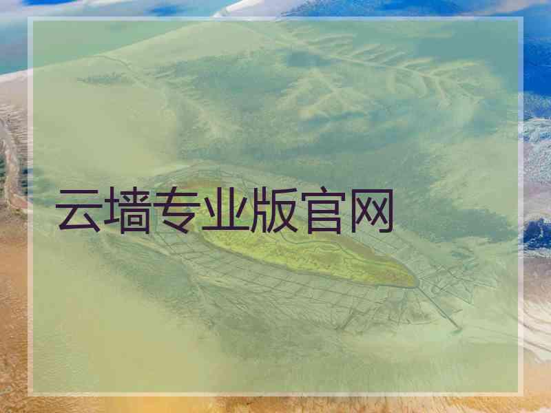 云墙专业版官网