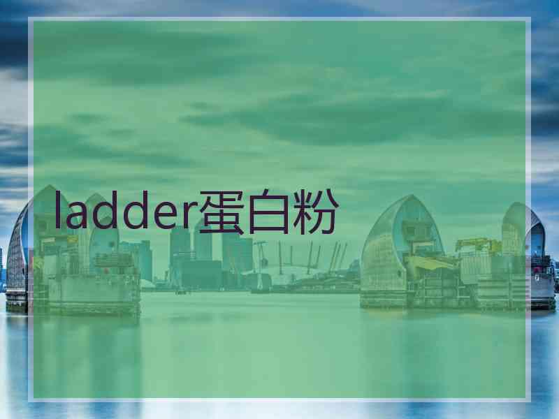 ladder蛋白粉