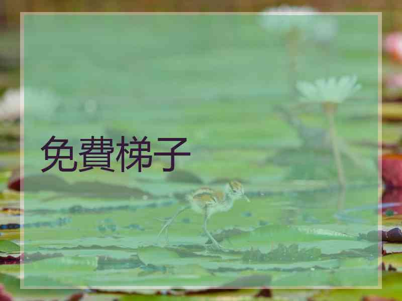 免費梯子