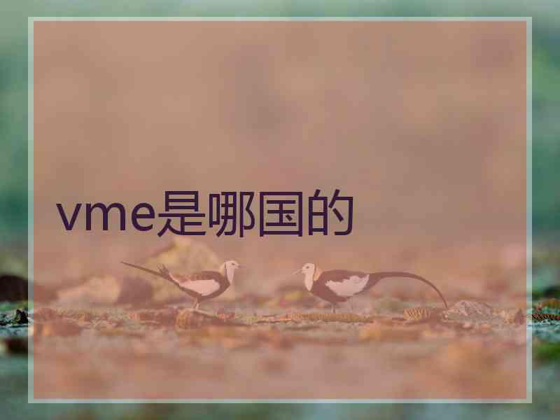 vme是哪国的