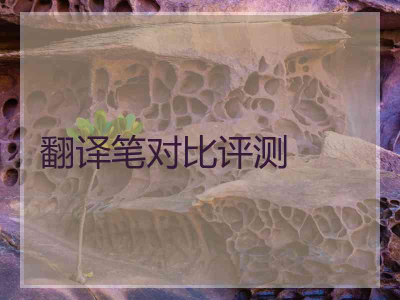 翻译笔对比评测