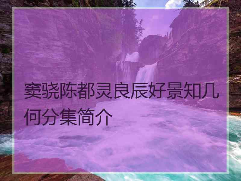 窦骁陈都灵良辰好景知几何分集简介