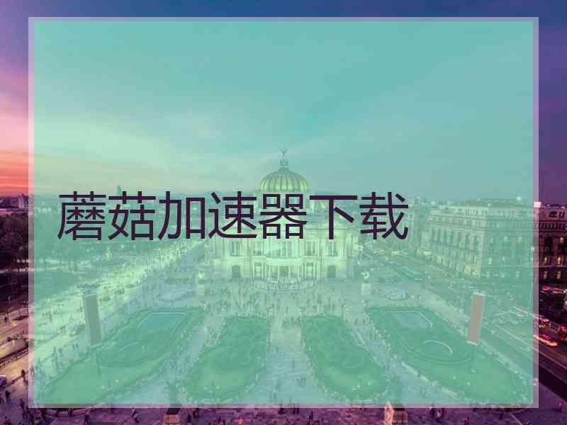 蘑菇加速器下载