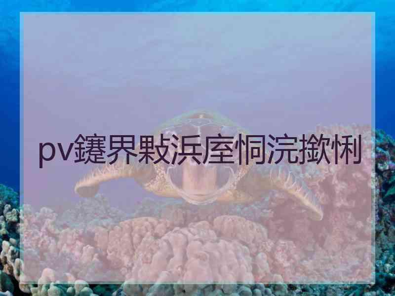 pv鑳界敤浜庢恫浣撳悧