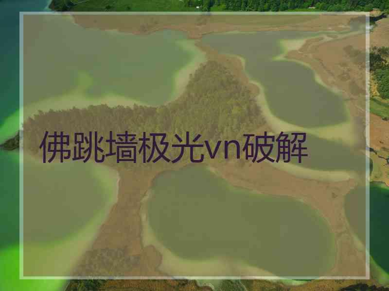 佛跳墙极光vn破解