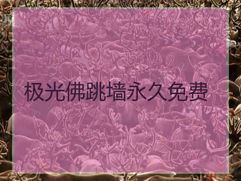 极光佛跳墙永久免费