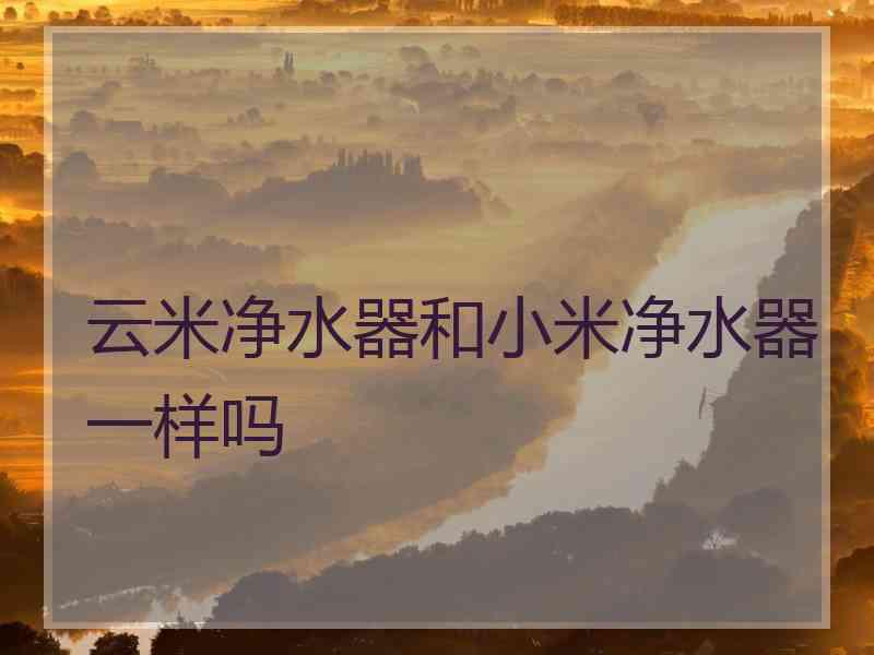云米净水器和小米净水器一样吗