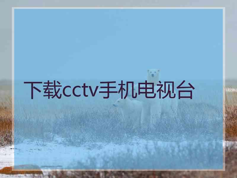 下载cctv手机电视台