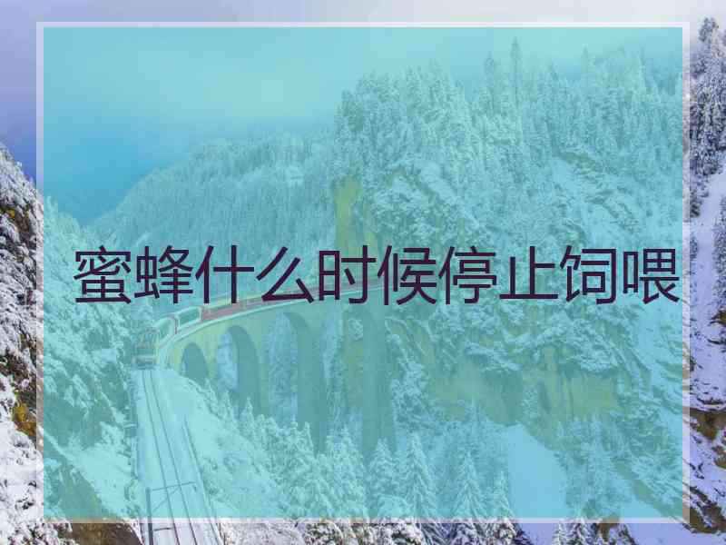 蜜蜂什么时候停止饲喂