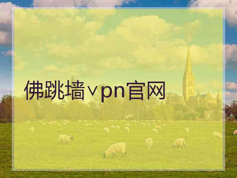 佛跳墙∨pn官网