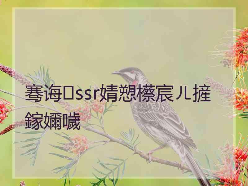 骞诲ssr婧愬櫒宸ㄦ摌鎵嬭噦