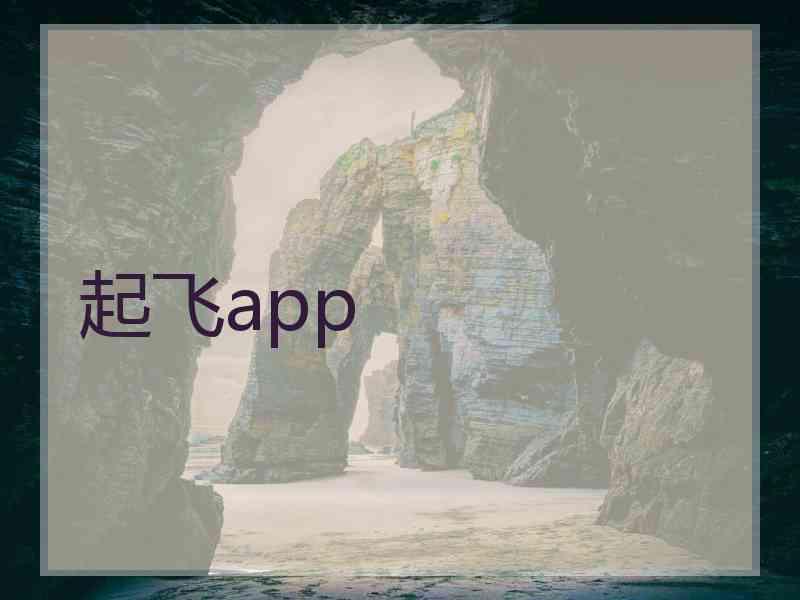 起飞app