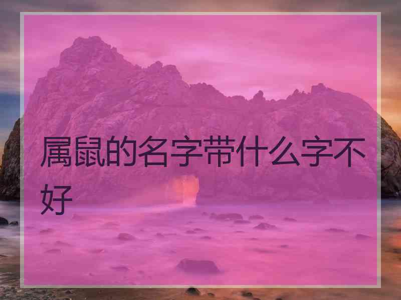 属鼠的名字带什么字不好