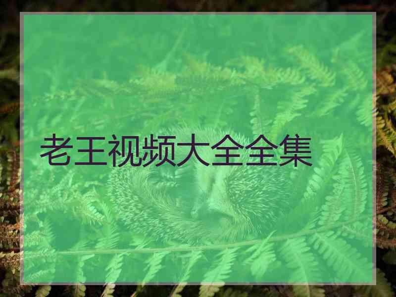 老王视频大全全集