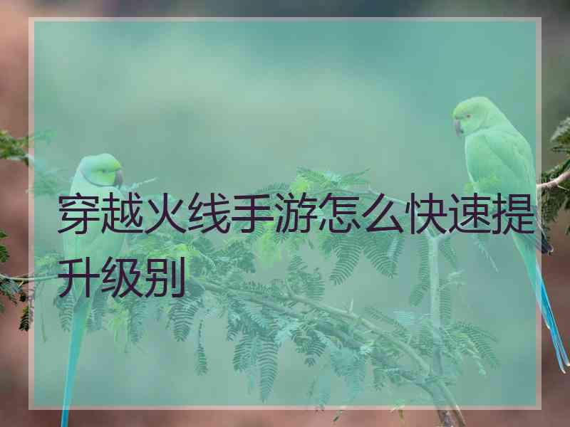 穿越火线手游怎么快速提升级别