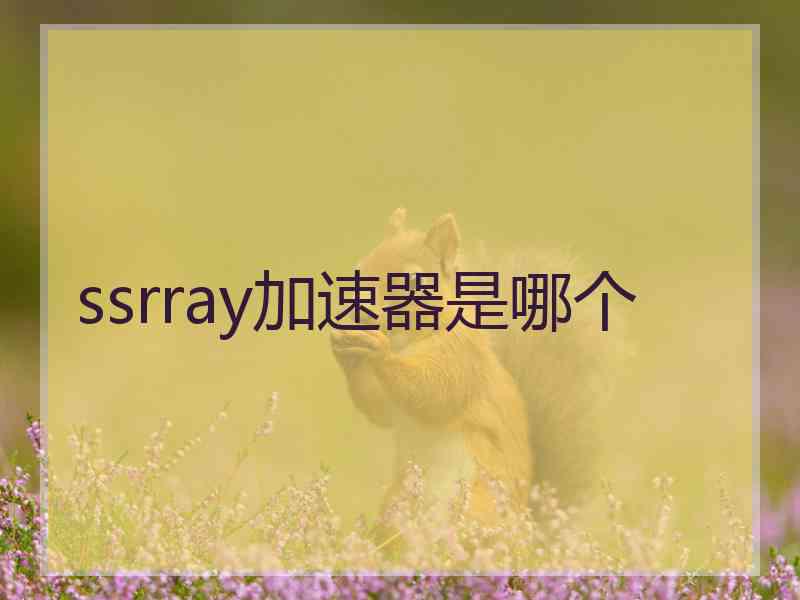 ssrray加速器是哪个