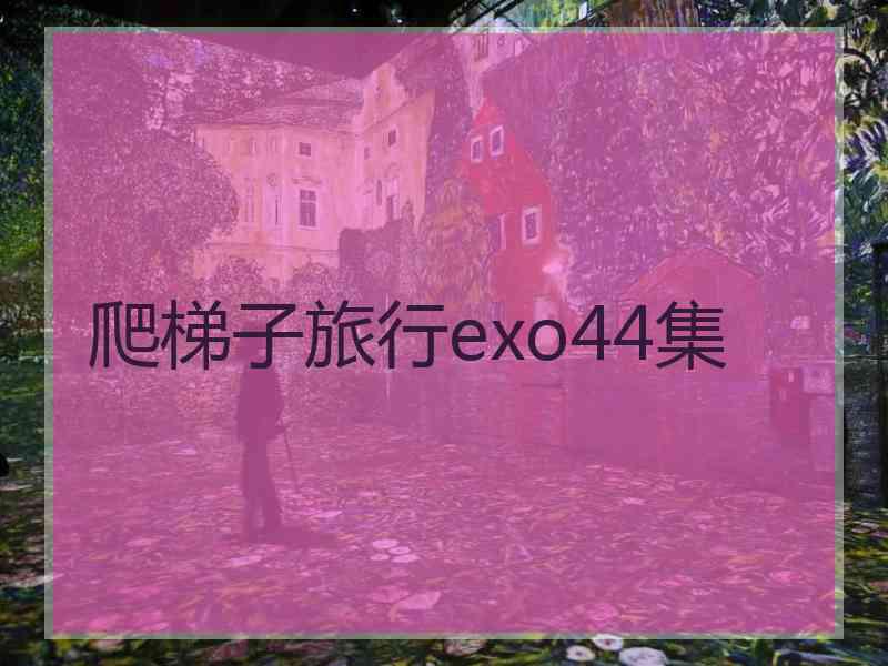 爬梯子旅行exo44集