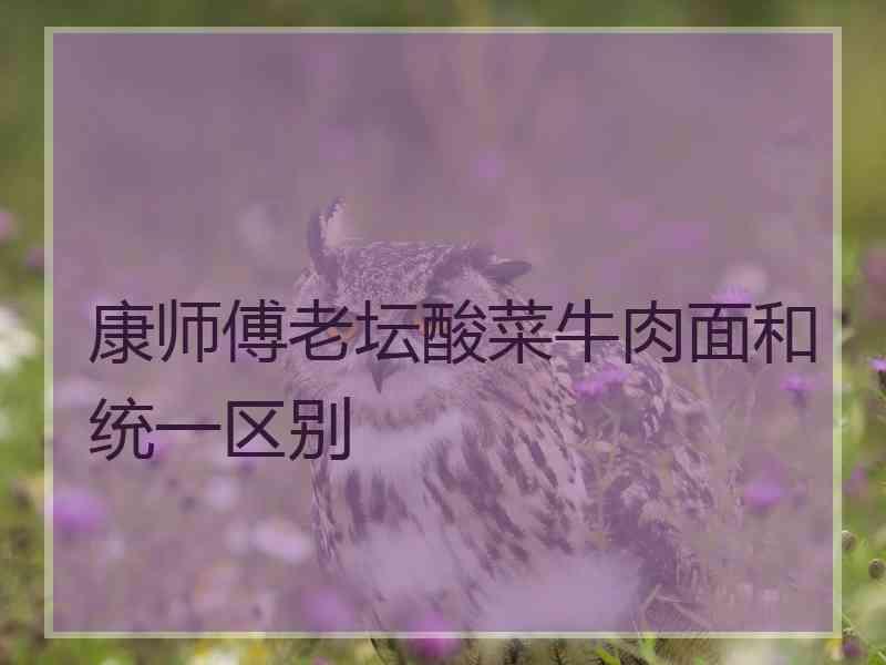 康师傅老坛酸菜牛肉面和统一区别