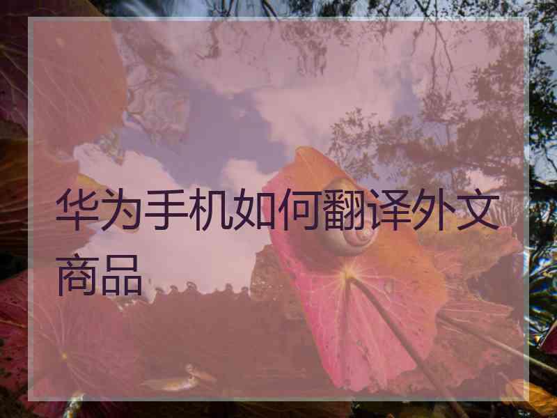 华为手机如何翻译外文商品