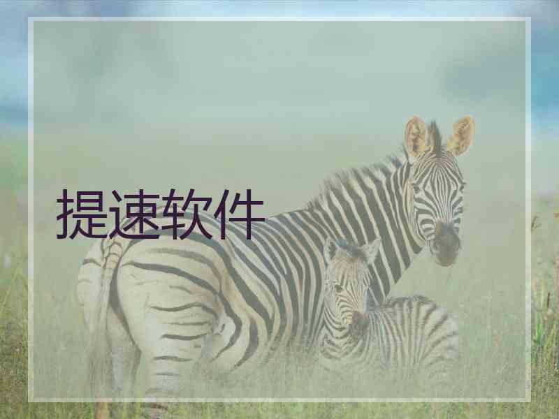提速软件