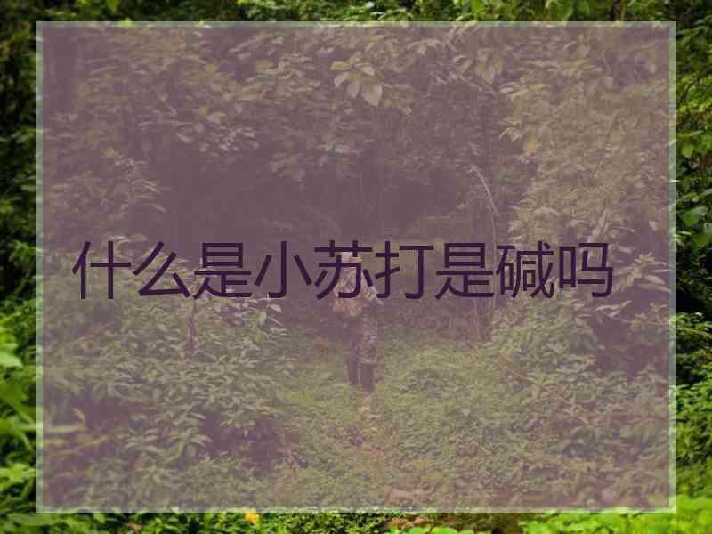 什么是小苏打是碱吗