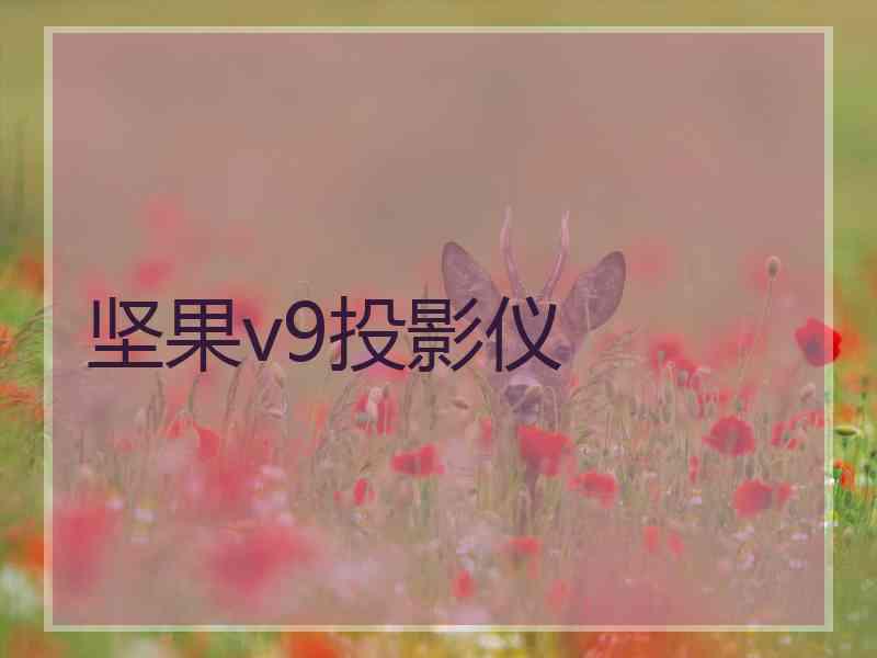 坚果v9投影仪