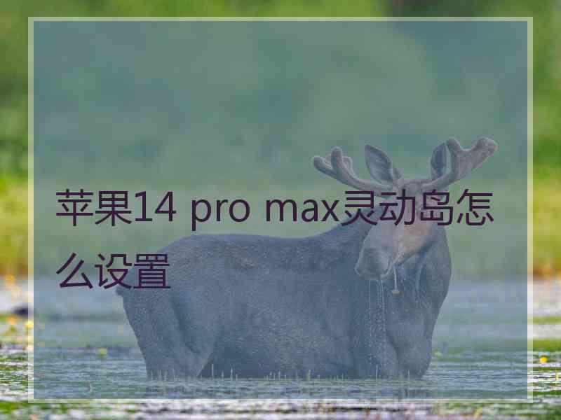 苹果14 pro max灵动岛怎么设置
