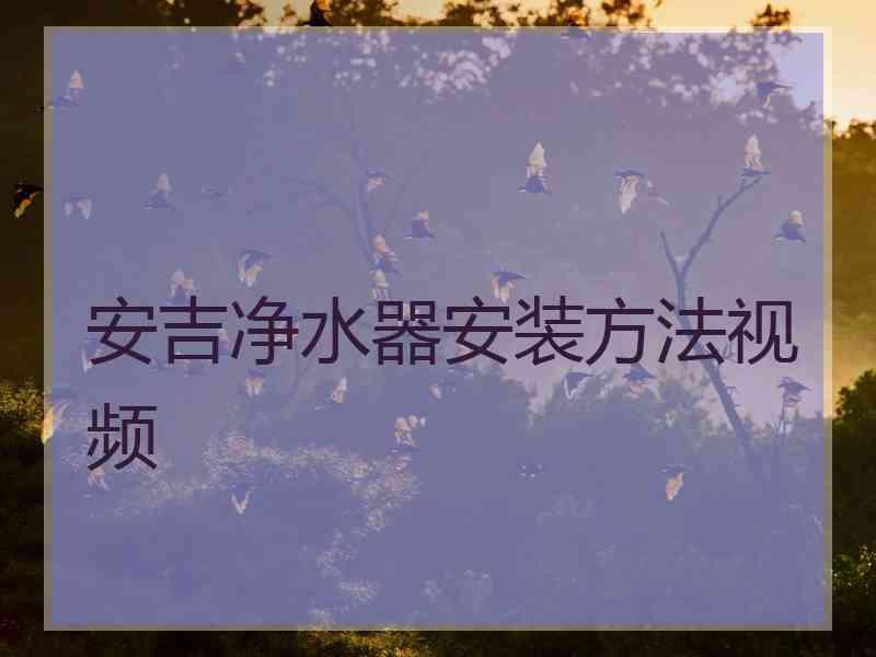 安吉净水器安装方法视频