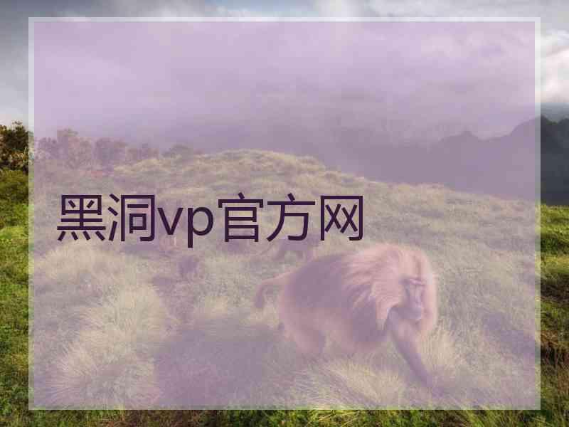 黑洞vp官方网