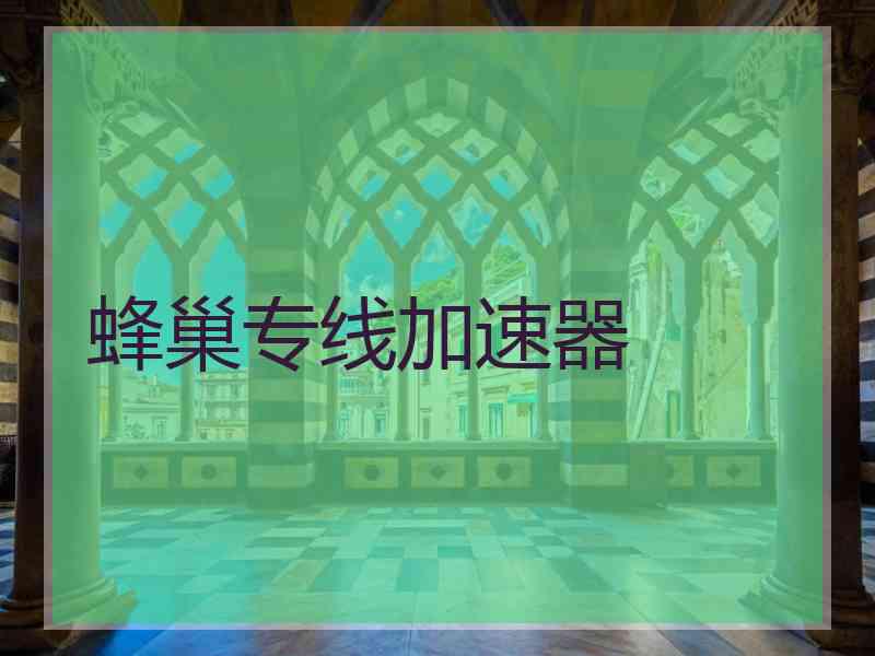 蜂巢专线加速器
