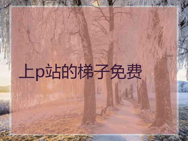 上p站的梯子免费