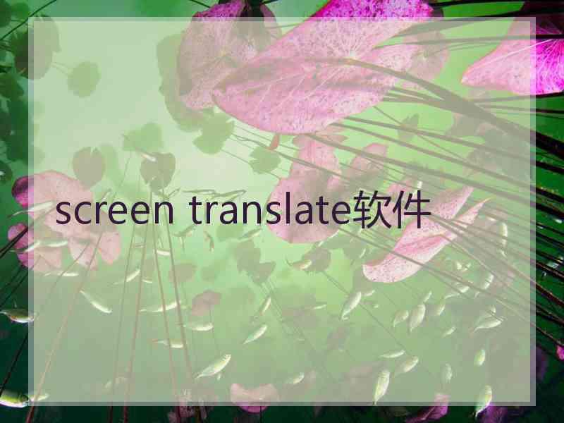 screen translate软件