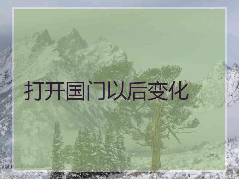 打开国门以后变化