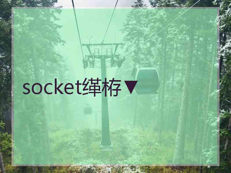 socket缂栫▼