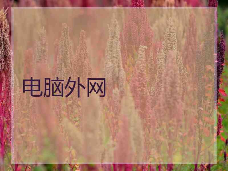电脑外网
