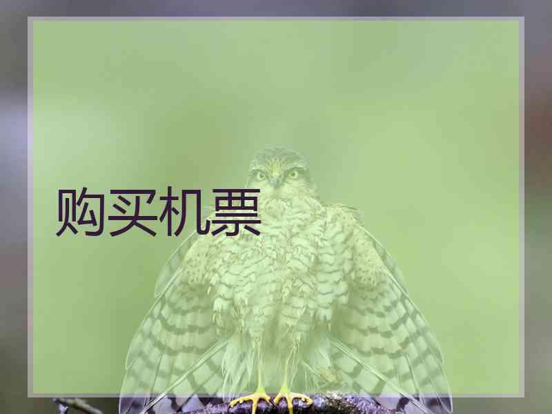 购买机票