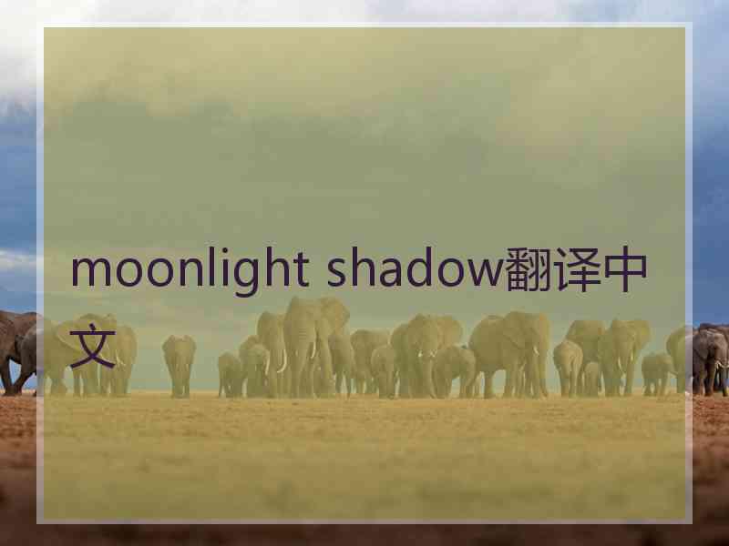 moonlight shadow翻译中文