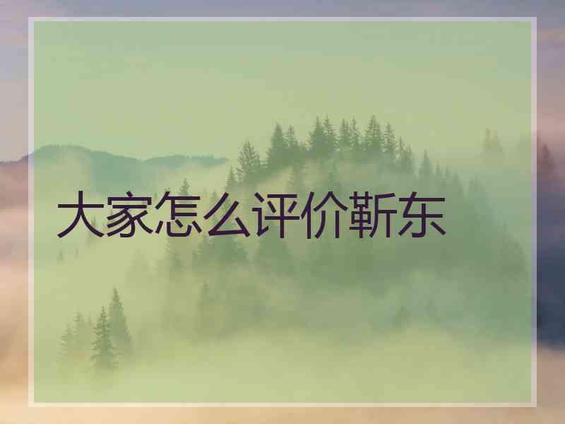 大家怎么评价靳东