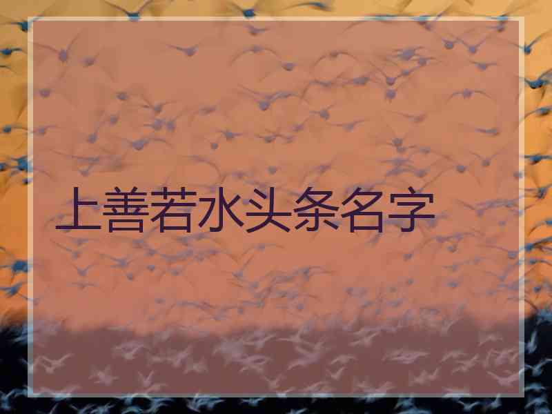 上善若水头条名字