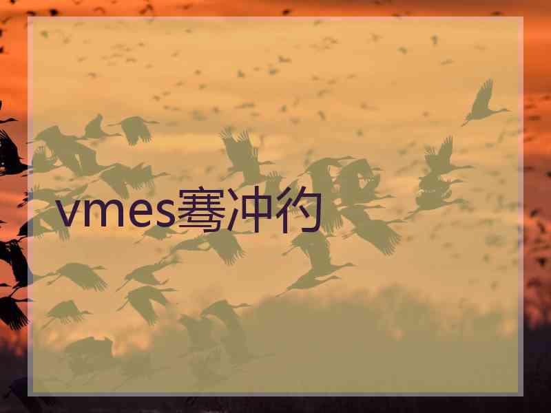 vmes骞冲彴