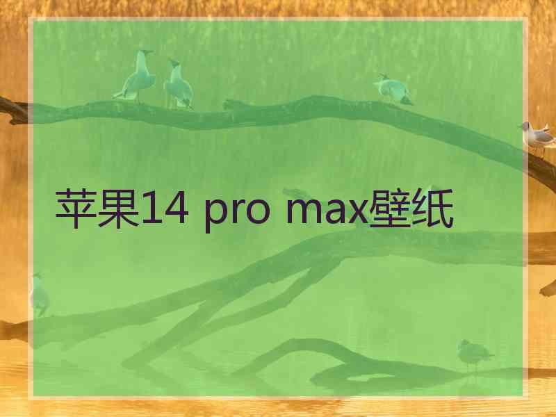 苹果14 pro max壁纸