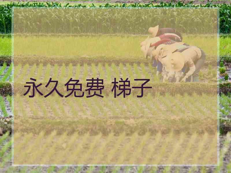 永久免费 梯子
