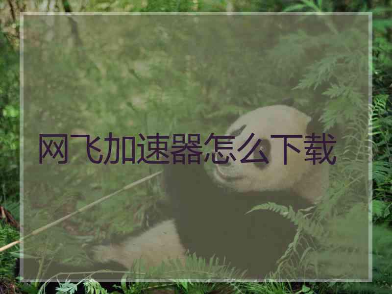 网飞加速器怎么下载