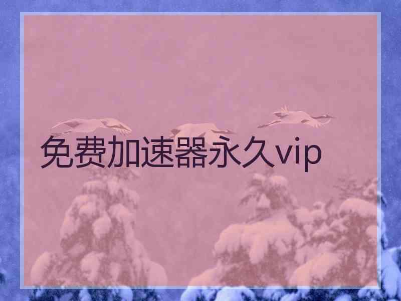 免费加速器永久vip