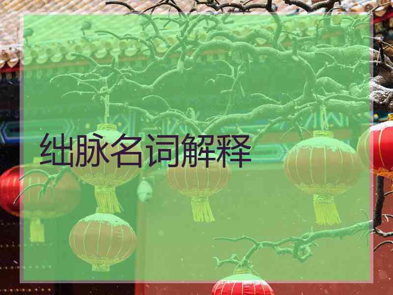 绌脉名词解释
